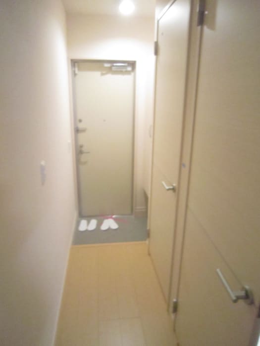 物件内観写真15　(廊下)