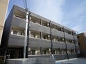 ＬＡＤＹＳ　ＤＯＲＭⅡ