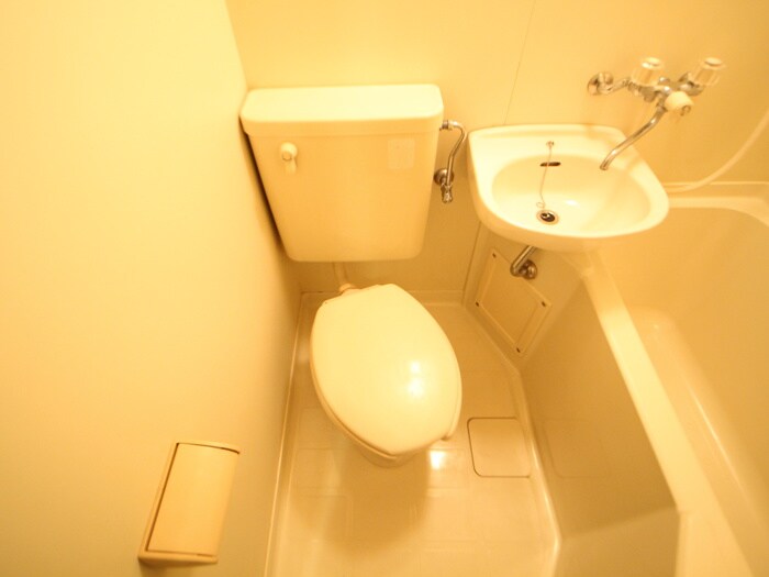 物件内観写真8　(トイレ)