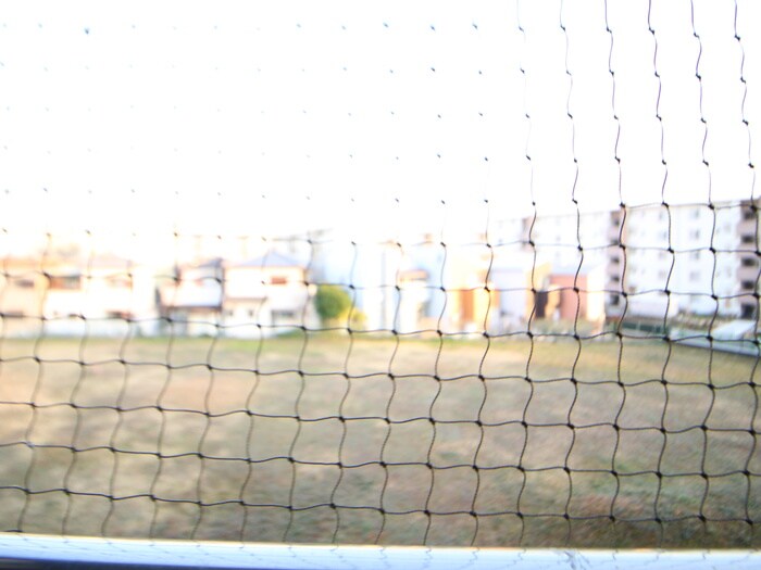 物件内観写真17　(室内からの展望)