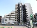 カサベラ岡本（608）