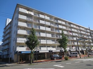 山科ハイツ(522)外観写真