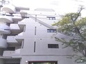 ﾒｿﾞﾝ･ﾁｪﾘｰ･ｱｳﾞｪﾆｭｰ
