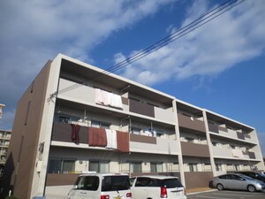 カ－サ フェリ－ス外観写真