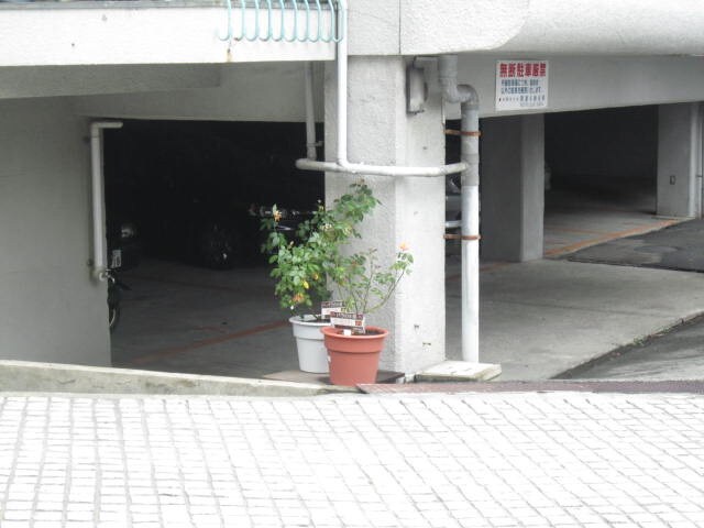 物件外観写真3　(駐車場)