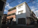 シャンティキノシタ
