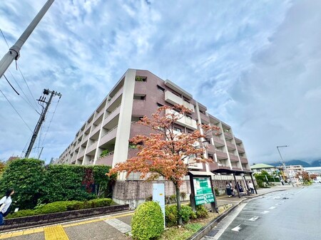 藤和ﾗｲﾌﾞﾀｳﾝ芦屋呉川町ﾙﾐﾅﾝｽ外観写真