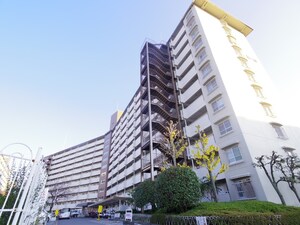 向島ﾆｭｰﾀｳﾝ三街区D棟（313）外観写真