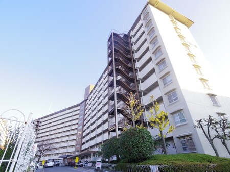 向島ﾆｭｰﾀｳﾝ三街区D棟（313）外観写真