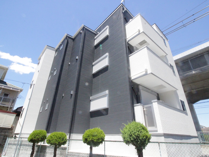 Cycas東二見