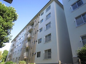 竹の台団地Ｄ２棟（203）外観写真