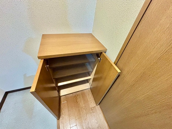 物件内観写真19　(靴箱)