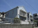 シャローム・マイウィンデア