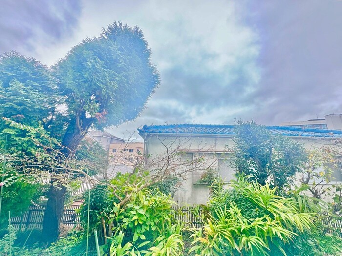 物件内観写真17　(室内からの展望)