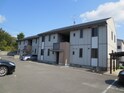 サクラ２１