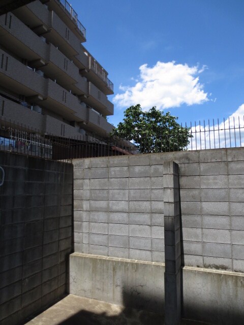 物件内観写真12　(室内からの展望)