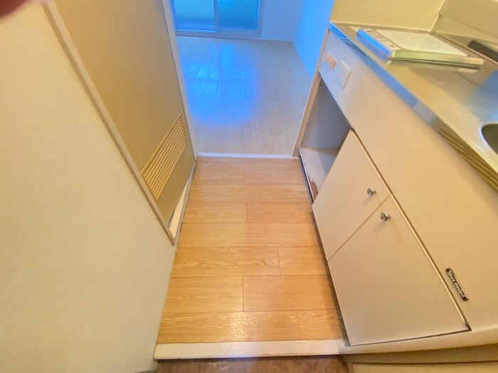 物件内観写真15　(廊下)