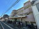 FAMILLE KASHIMAⅡ