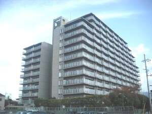 ファミール八尾(808)外観写真