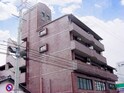 ホワイトオーク