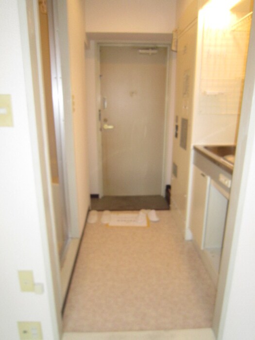 物件内観写真11　(廊下)
