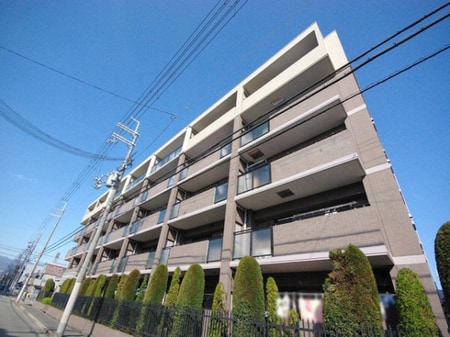 ｽﾃｲﾂ甲子園ｴｸｼｰﾄﾞ若草町（205）外観写真