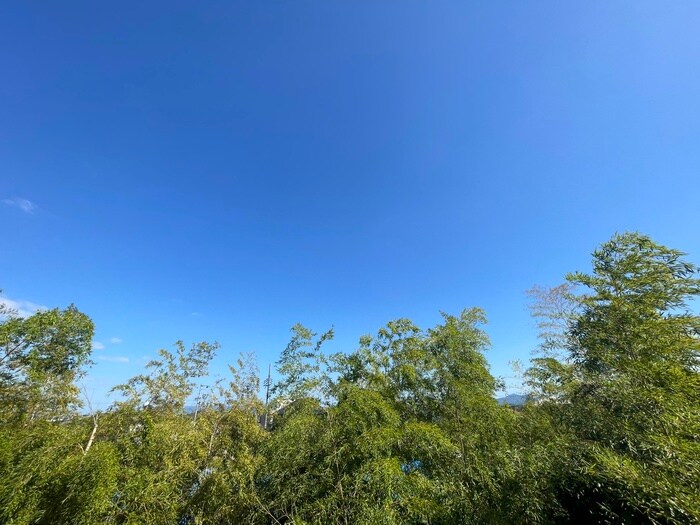 物件内観写真22　(室内からの展望)