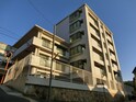 ダンディライオン住吉川