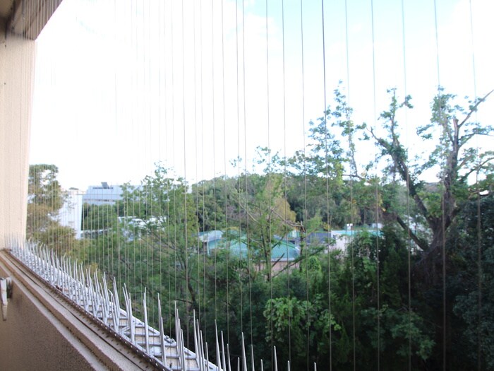 物件内観写真22　(室内からの展望)