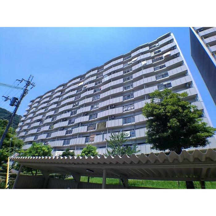 若山台33号棟（405）