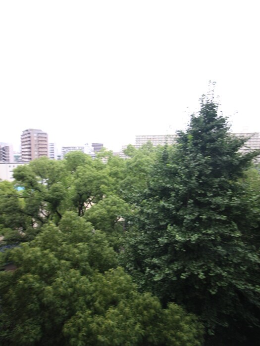 物件内観写真22　(室内からの展望)