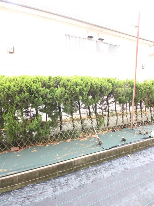 物件内観写真10　(室内からの展望)