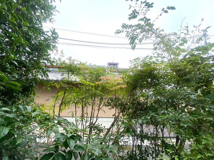 物件内観写真15　(室内からの展望)