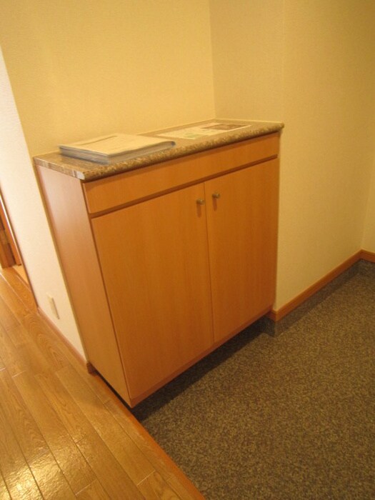 物件内観写真11　(靴箱)