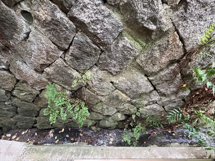 物件内観写真21　(室内からの展望)