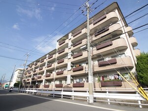 エバーグリーン桂外観写真