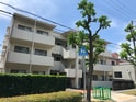 チャフル甲東
