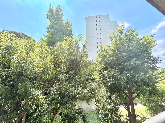 物件内観写真16　(室内からの展望)