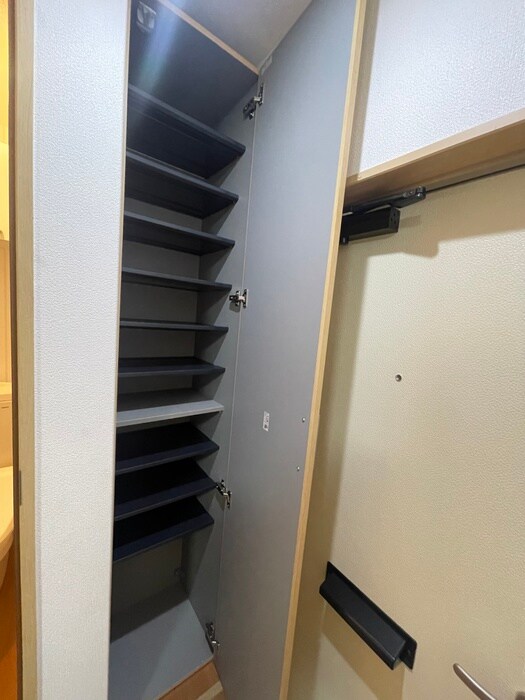 物件内観写真11　(靴箱)