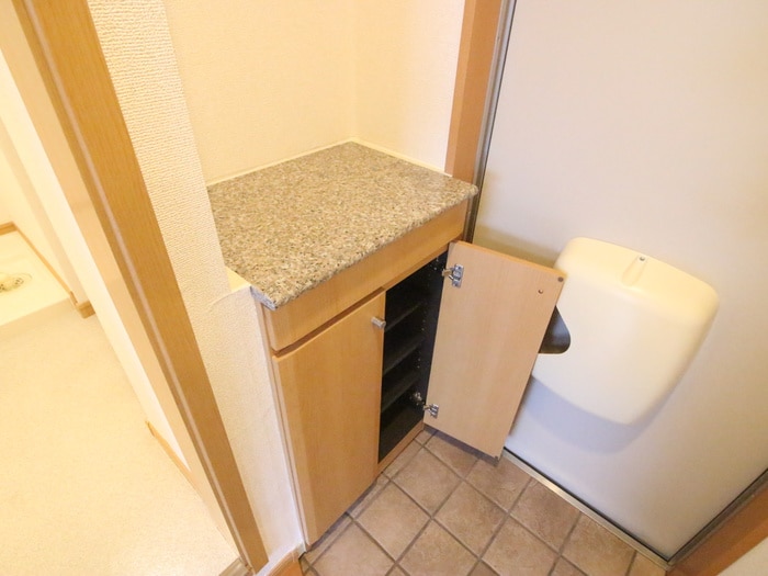 物件内観写真21　(靴箱)