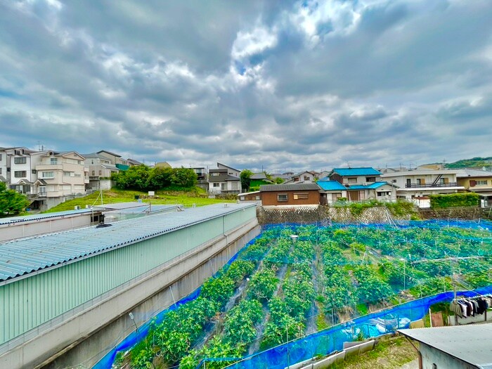 物件内観写真13　(室内からの展望)