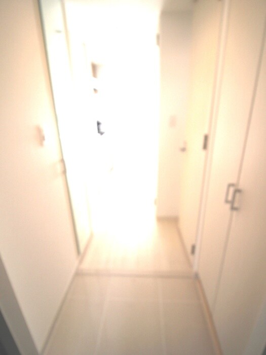 物件内観写真7　(玄関)