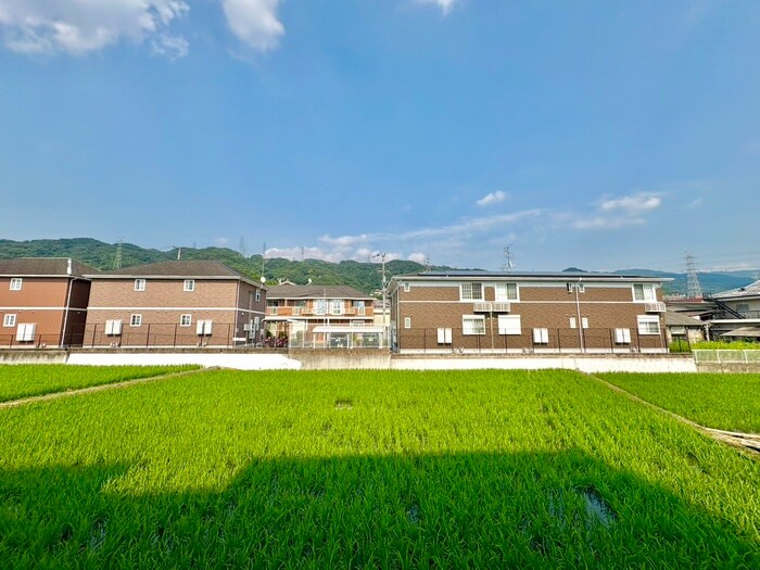 物件内観写真20　(室内からの展望)