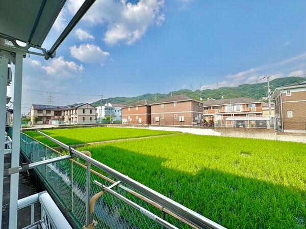 室内からの展望
