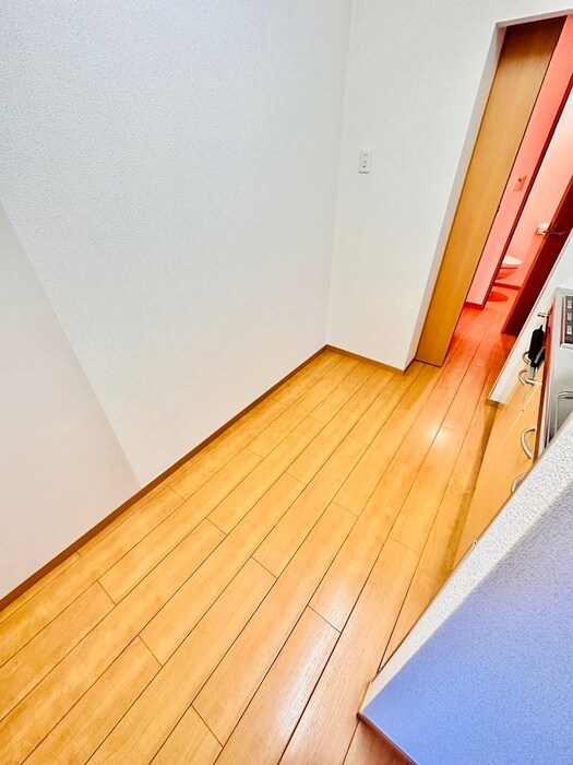 物件内観写真19　(廊下)