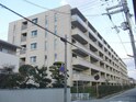 ｼﾞｪｲｸﾞﾗﾝ甲子園口天道町（303）