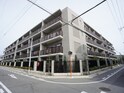 ブランズ甲子園(318)