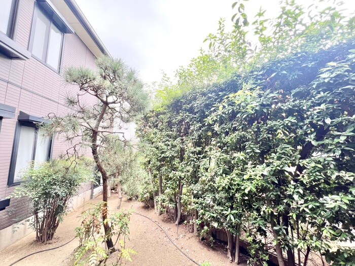 物件内観写真21　(室内からの展望)