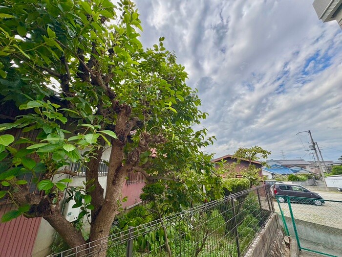 物件内観写真22　(室内からの展望)