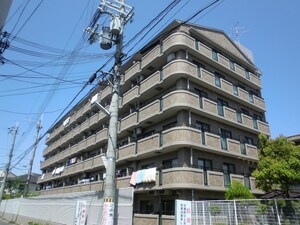 リエラ八尾本町(210)外観写真